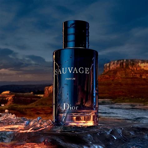 original dior sauvage|sauvage Dior original price.